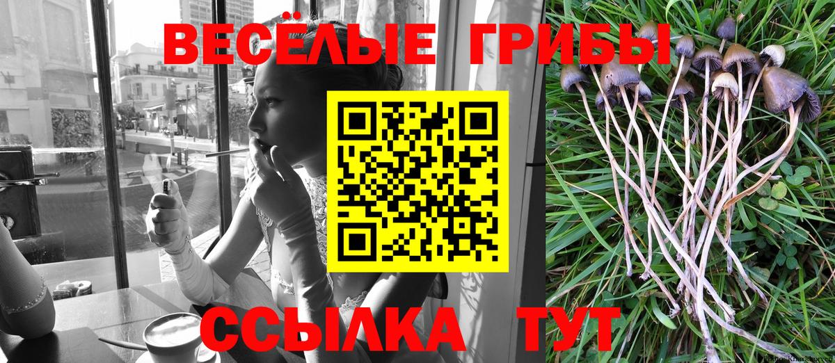 Галлюциногенные грибы Владимир