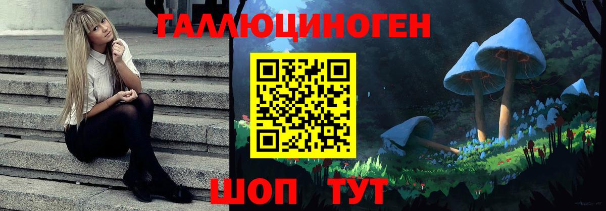Владимир  Галлюциногенные грибы ЛСД  Вход с VPN  Галлюциногенные грибы Cubensis 