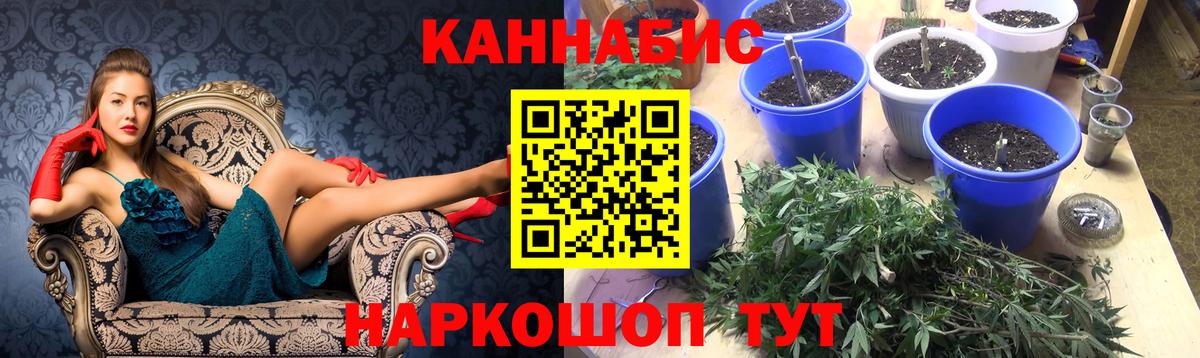Конопля марихуана  Вход с VPN  Владимир  Шишки марихуана Bruce Banner 